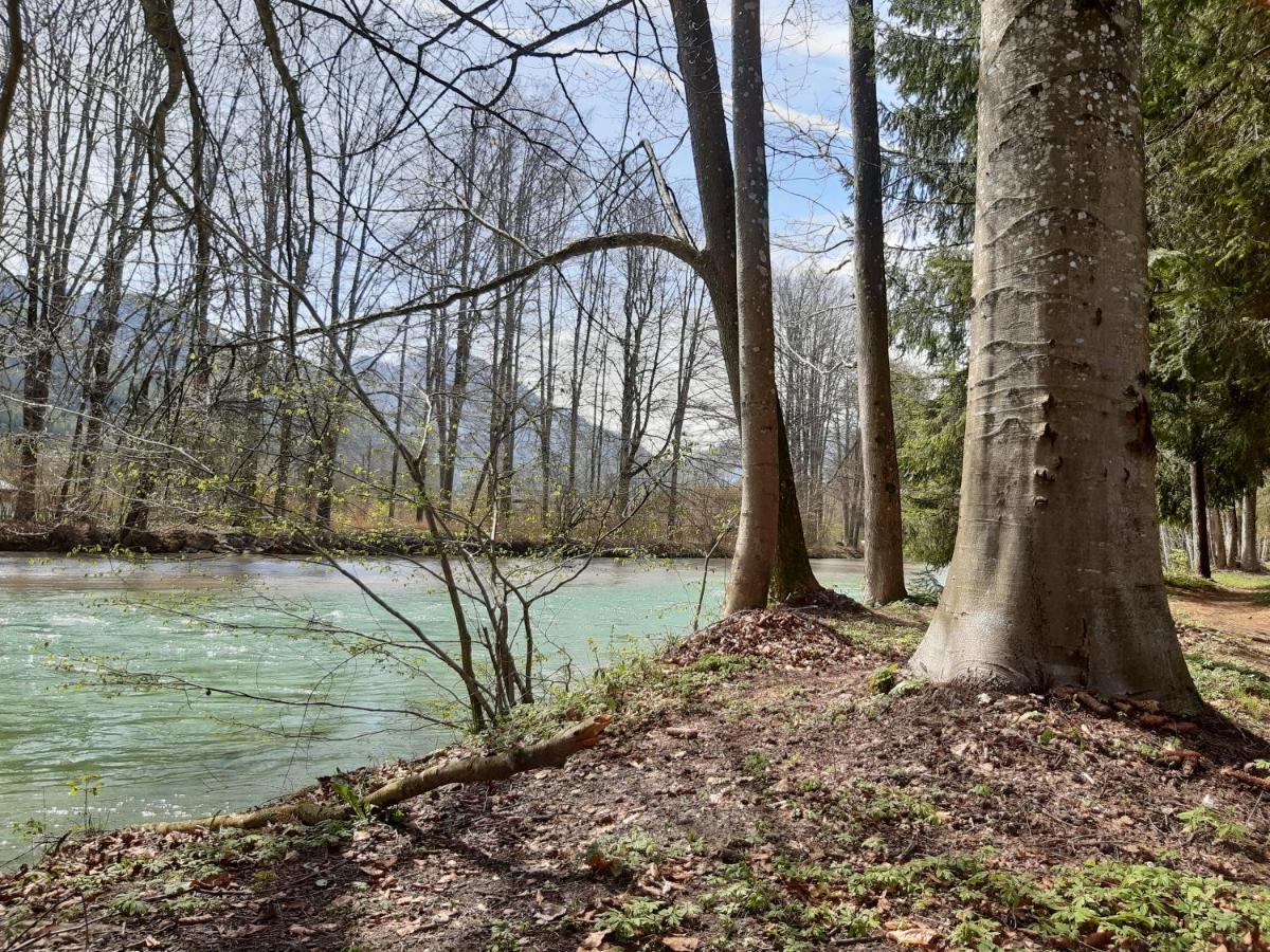 Campingfass Almtal Scharnstein Exteriör bild