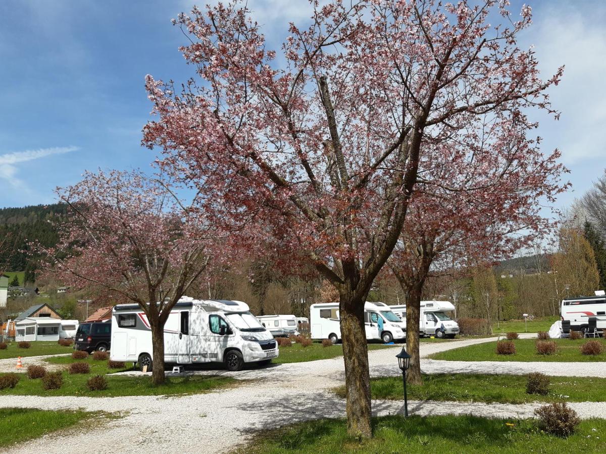 Campingfass Almtal Scharnstein Exteriör bild