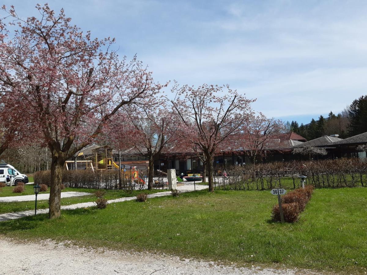 Campingfass Almtal Scharnstein Exteriör bild