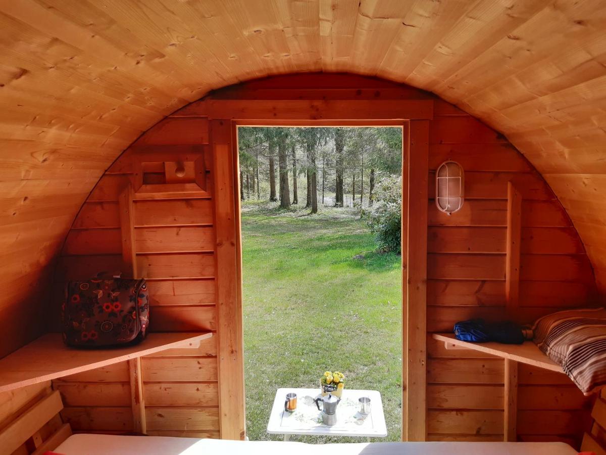 Campingfass Almtal Scharnstein Exteriör bild